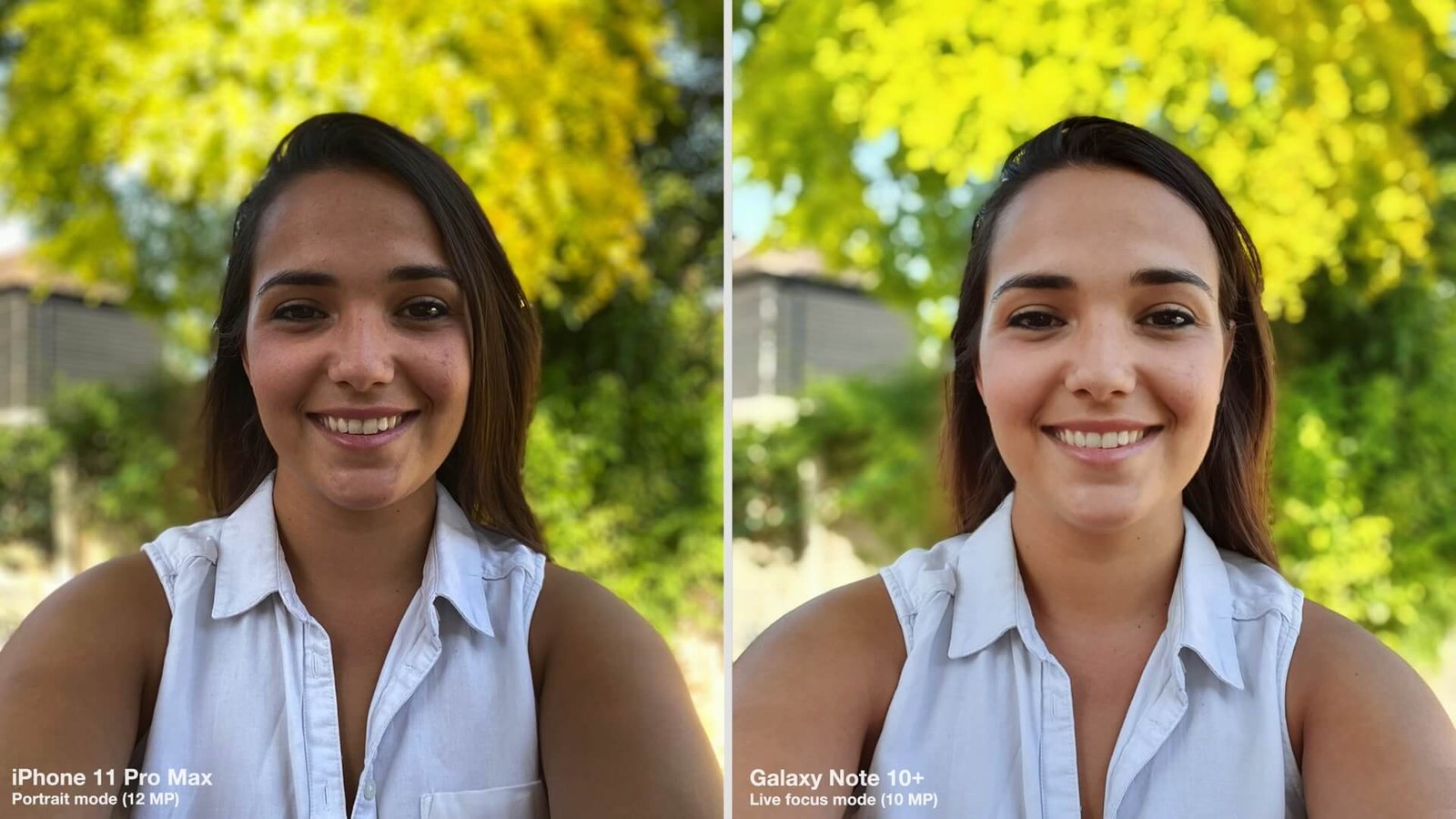 Capri Sean Iphone 11 Vs Iphone 11 Pro Portrait Mode