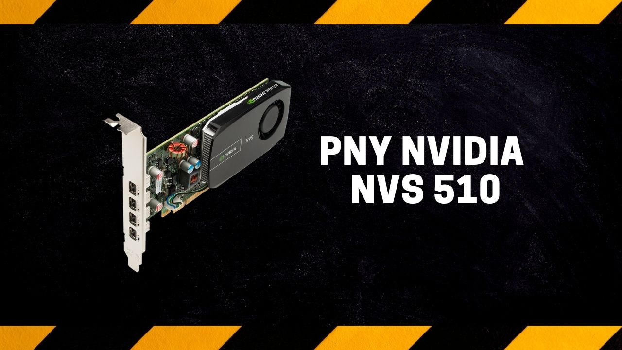 PNY NVIDIA NVS 510
